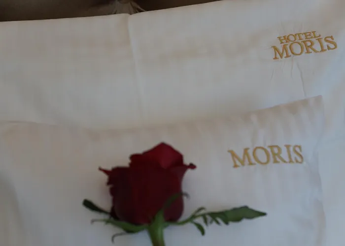 Moris Lägenhetshotell 4*